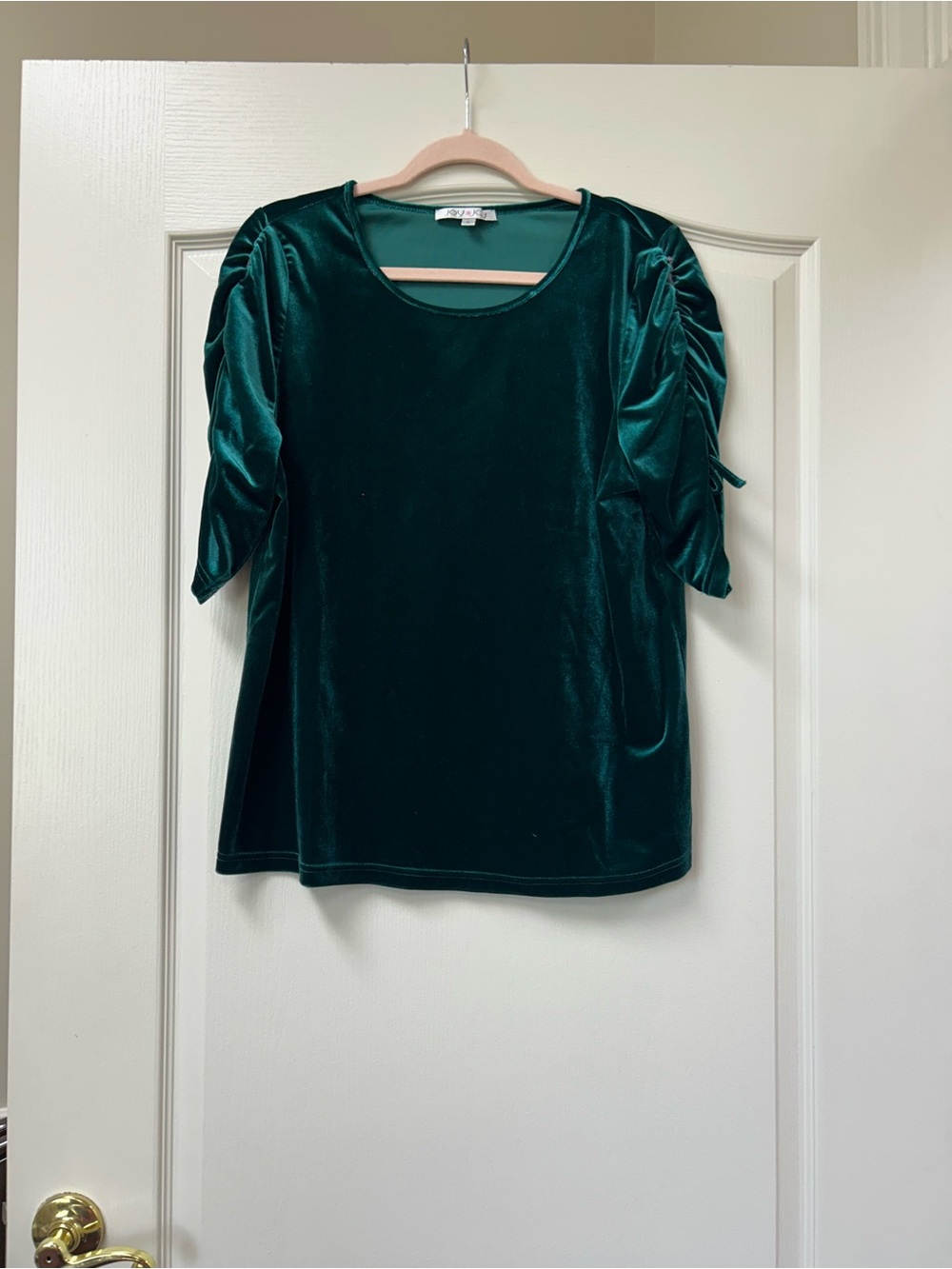 Joy Joy Deep Green Velvet Ruched Short Sleeve Top